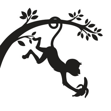 Silhouette of a monkey hanging from a tree branch holding a banana with wildlife