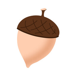 Oak Acorn Seed Close Up  © SitiNurindaFanicha
