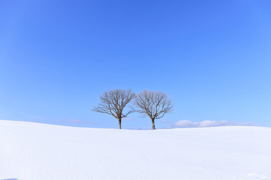 北海道平取町、真冬の二柏の丘【2月】