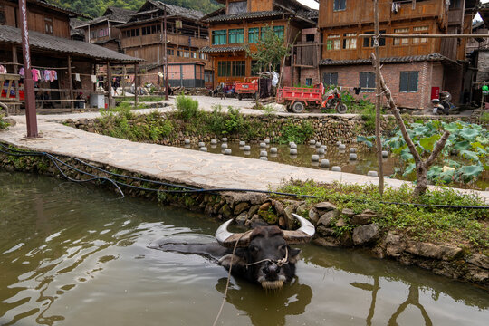 黄崗侗寨