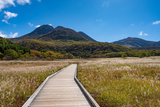 大分県　タデ原湿原
