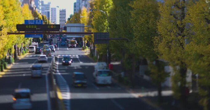 A cityscape of miniature traffic jam at the yellow gingko street in Tokyo in autumn