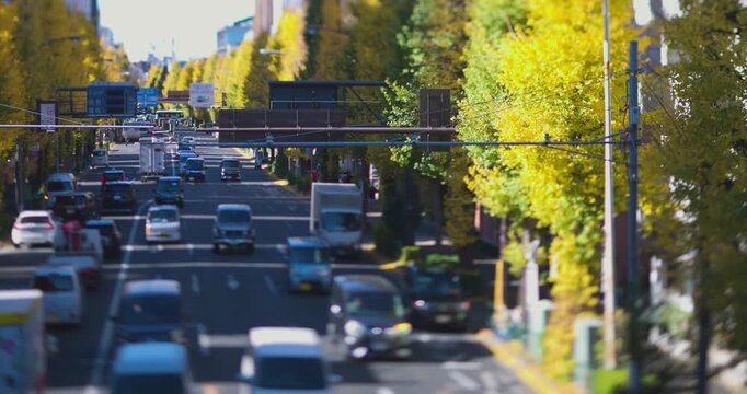 A cityscape of miniature traffic jam at the yellow gingko street in Tokyo in autumn