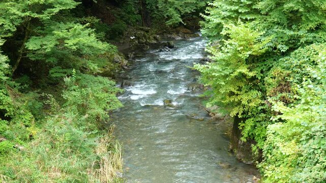上野原市・鶴川の木々に囲まれた豊かな清流と初秋の渓流風景（60fps 高フレームレート）