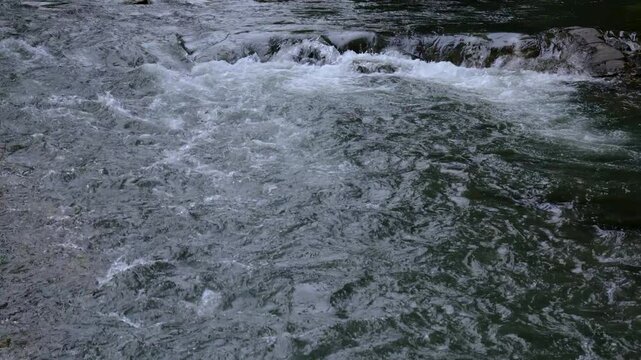 清らかな渓流の水の流れ（60fps 高フレームレート）