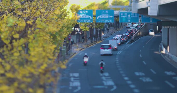 A cityscape of miniature traffic jam near the yellow gingko street under the