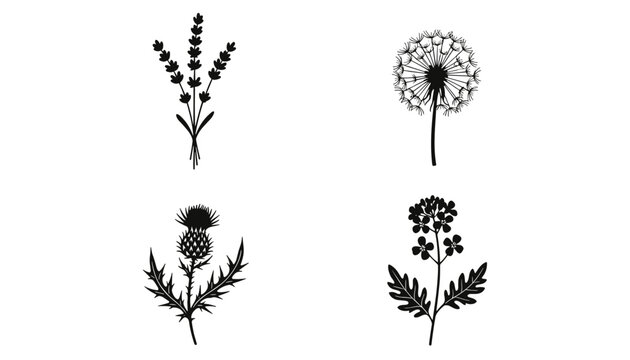 Set of four black botanical leaf and wildflower silhouettes