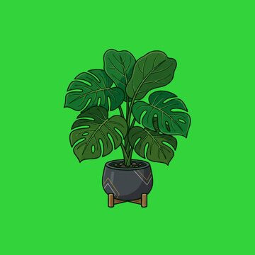 Animated tropical potted plant swaying on green background video