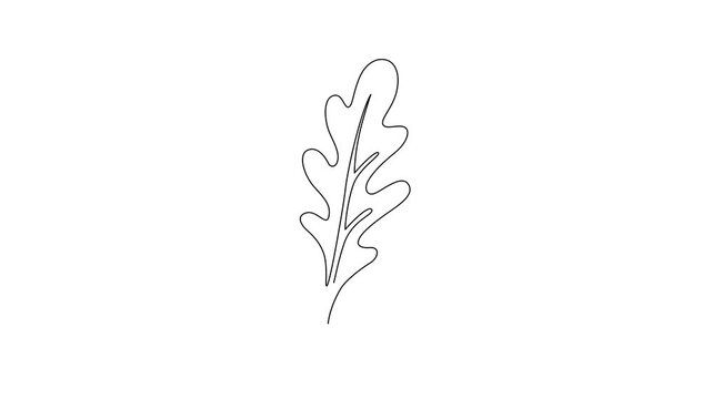 Minimalist arugula leaf continuous line drawing animation gradually forming on a clean white background. A single unbroken black line creates an elegant arugula illustration