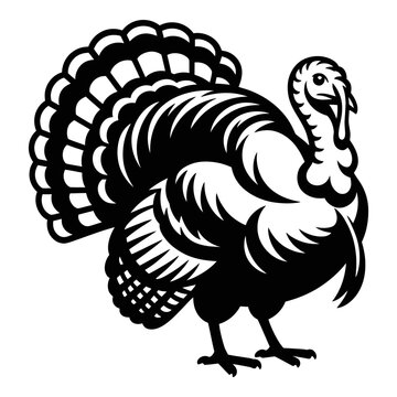 A detailed turkey illustration presents a striking black silhouette