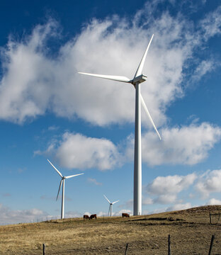 Wind farm in Northern Colorado