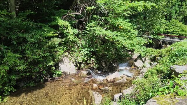 Scenic wide view of a crystal clear mountain stream with a small bridge surrounded by fresh green forest in Gifu, Japan. Perfect for rural tourism, eco-friendly concepts, and travel headers.