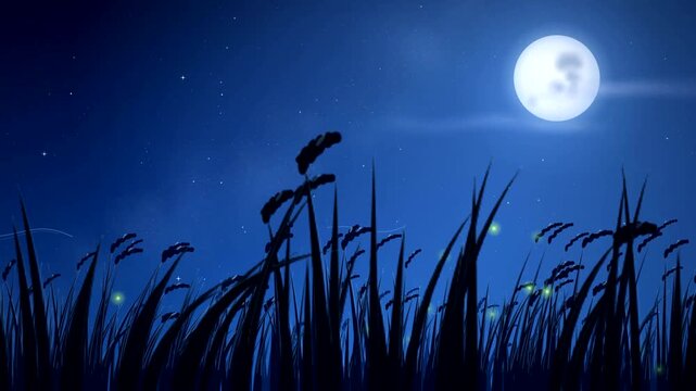 Relaxing Night Silhouette Grass Meadow with Glowing Fireflies under Bright Full Moon