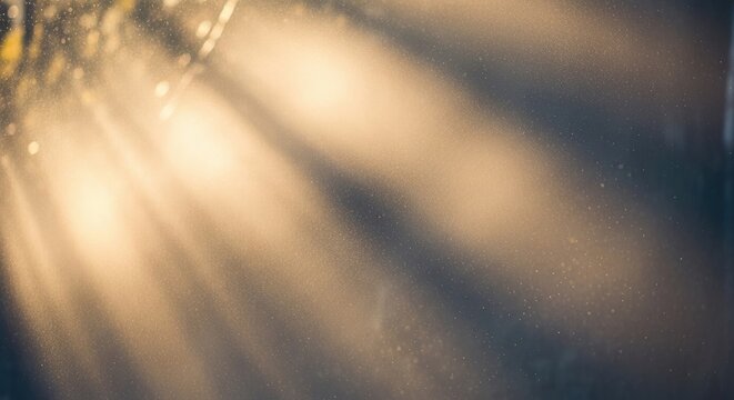 Sunlight streams through the air, creating a radiant glow. Dust motes dance in the beams of light, adding a sense of ethereal beauty.