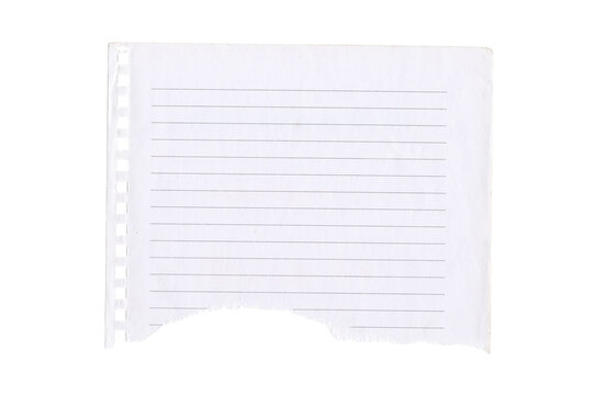 Torn blank lined notebook paper with punched holes, Isolated on a transparent background