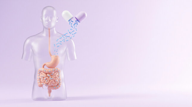 Open probiotic capsule releasing bacteria into human gut