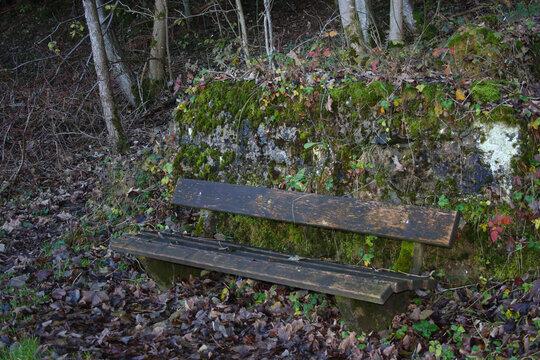 Bayern - Bank im Herbst / Bavaria - Bench in autumn /