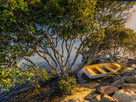 Tinnie Grounded Amidst The Mangroves
