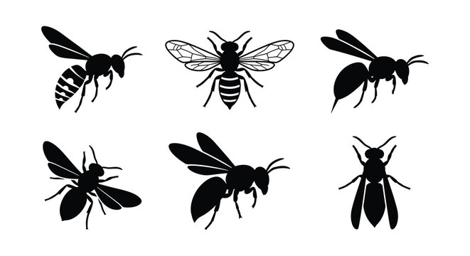 Black bee silhouettes arranged in various flying poses vector illustration