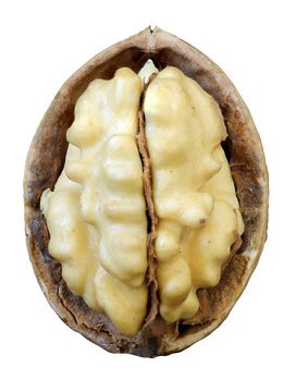 halved walnut with its distinctive ridged, brain-like kernel visible against transparent background