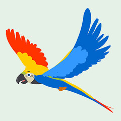 Colorful flying macaw parrot bird isolated on white background vector illustration © MATIOMON ATMA SHILPI