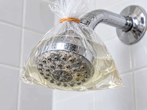 Showerhead soaking in vinegar bag to remove limescale buildup