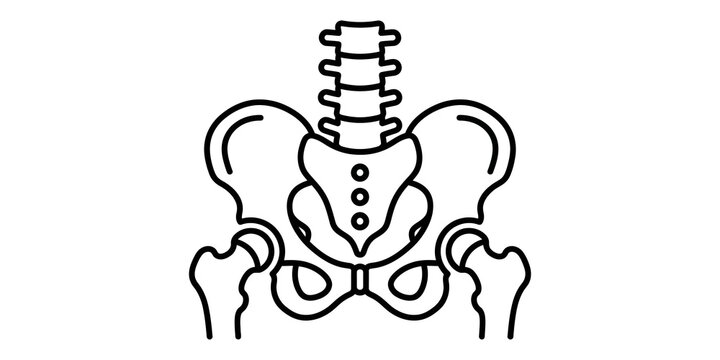 Human pelvic bone anatomy icon in black outline for medical and orthopaedic diagnostics.