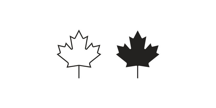 Maple leaf pair in outline and solid black styles for canadian identity designs.