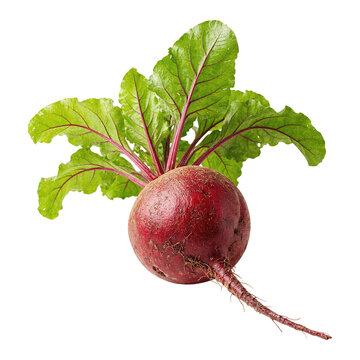 Fresh Red Beetroot with Green Leaves Isolated on Dark Background