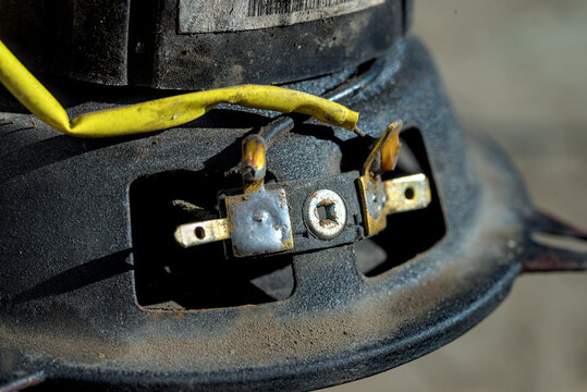 Terminals with soldered wires, which are attached to the speaker