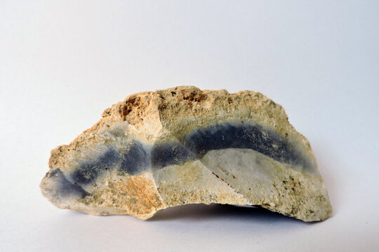 Flint mineral specimen with a dark silica band in a limestone rock on a white background