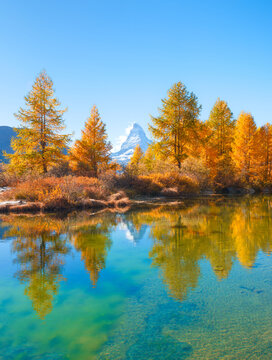 Vertical photo. Matterhorn mountain in Switzerland reflects in a calm alpine lake. Scenic mountain landscape with colorful autumn trees under a clear sky in daytime.