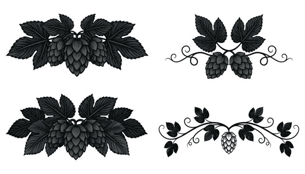 Hop cones and leaves brewery vector element set. Vintage woodcut engraving style, floral vignette, swirl tendrils, black silhouette dividers and beer label decoration graphics.