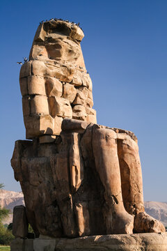 Weathered stone surface of the Colossus of Memnon statue in Luxor Egypt
