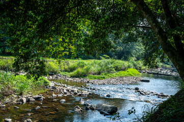 Fototapeta premium Beautiful riverside with tree by the side, and sunlight shines on the water, in New Taipei city, Taiwan.