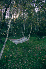 Empty hammock hanging between birch trees in green quiet autumn garden