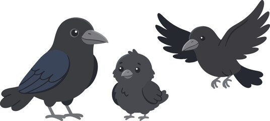 Obraz premium Three cute cartoon crows including an adult standing a small chick and a flying bird.