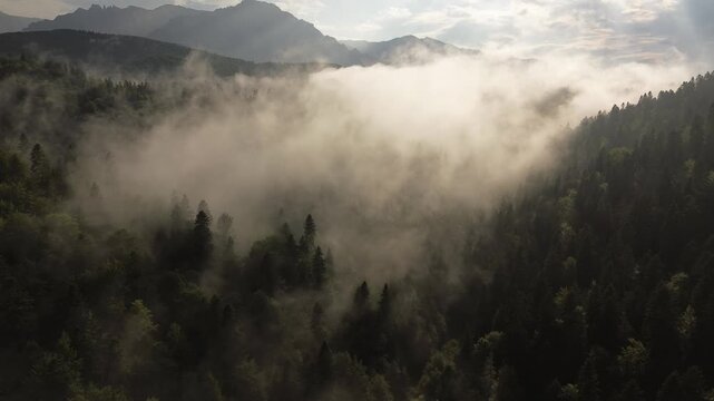 Aerial View of Misty Forest and Carpathian Mountain Peaks at Sunset - Transylvania, Predeal, Romania
