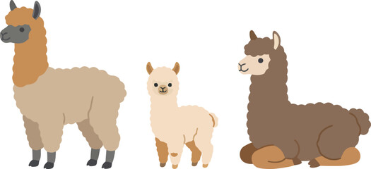 Obraz premium Three cute cartoon alpacas standing and sitting in a row.