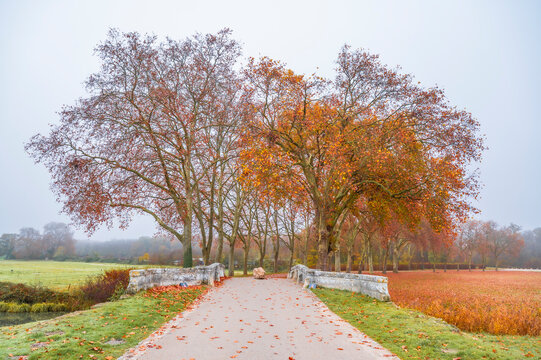 Automne &agrave; Chambord