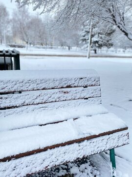 bench in the snow