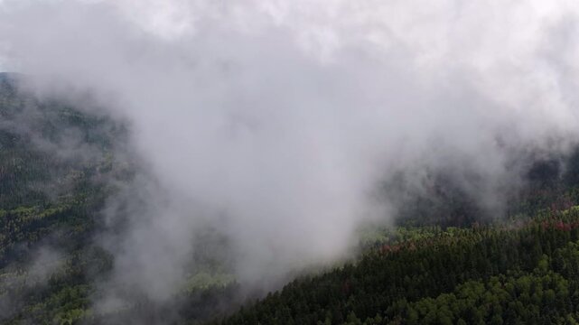 Aerial of thick white clouds and fog rolling over the dense evergreen forest and mountains in Carson National Forest near Taos New Mexico