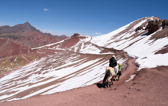 Tourists riding horses on vinicunca rainbow mountain trail