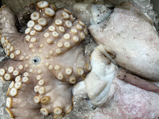 Fresh octopus and squid displayed on crushed ice at a seafood market, showcasing raw Mediterranean seafood and fresh catch ready for sale. © piece_ov_art