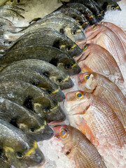 Fresh assorted whole fish displayed on crushed ice at a seafood market. Close-up of chilled sea fish with silver, dark and pink scales, showcasing freshness and variety. © piece_ov_art