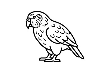 Fototapeta premium Minimalist Kakapo Parrot Vector Illustration