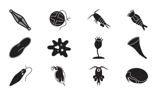 Microscopic Organisms Vector Icons, Plankton and Protozoa Silhouettes, Aquatic Life Elements, Scientific Illustration Set