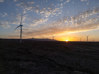 Obraz premium silhouette of wind turbines at sunset