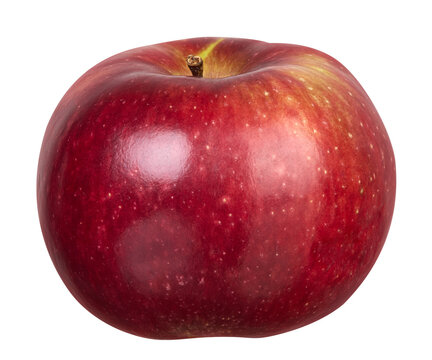 A ripe red apple with a shiny skin