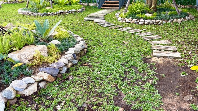 Close up green grass with stone walkway in the mini garden.